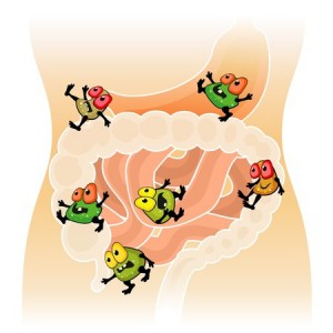 Gut bacteria