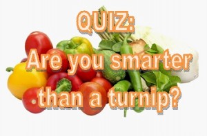 Are you smarter than a turnip