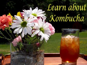 Learn about Kombucha Recipe Renegade