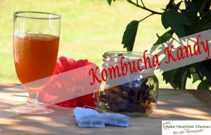 Kombucha Kandy 3 Recipe Renegade