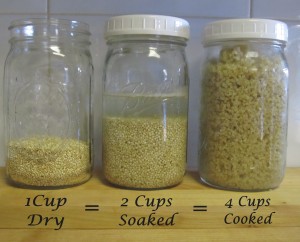 One cup dry quinoa seeds equals 4 cups cooked.